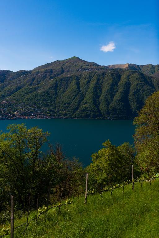 Tra Lago E Montagna Baita La Morena Nesso Ngoại thất bức ảnh