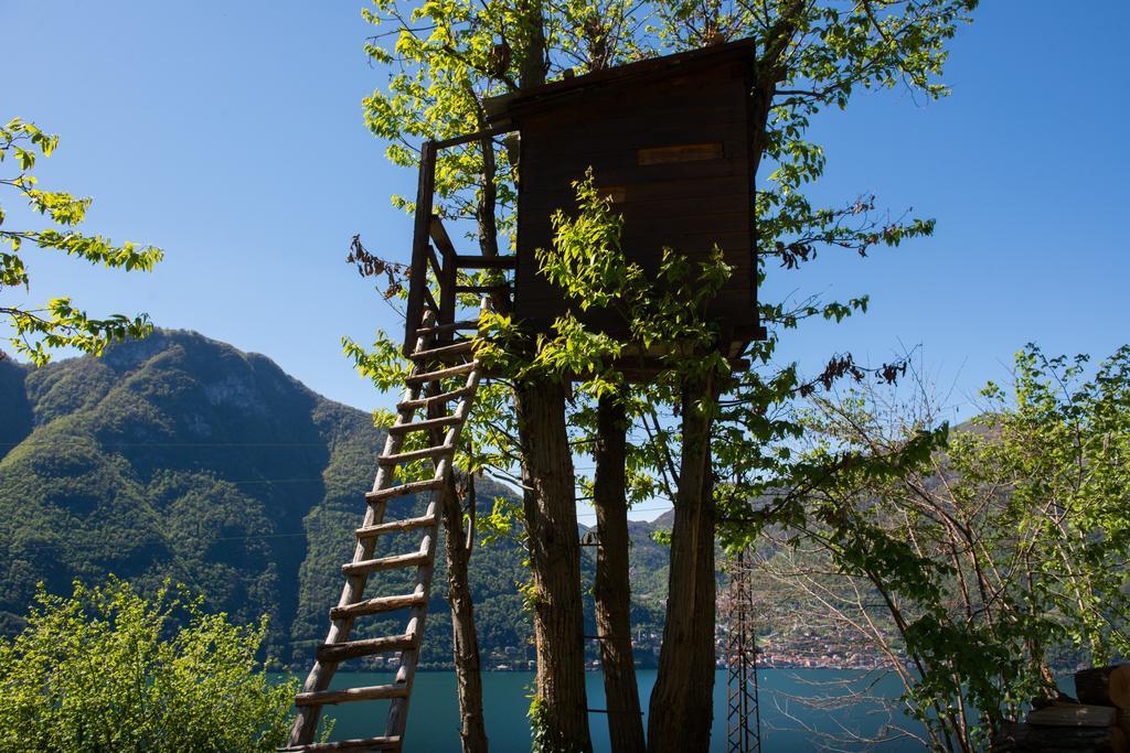 Tra Lago E Montagna Baita La Morena Nesso Ngoại thất bức ảnh