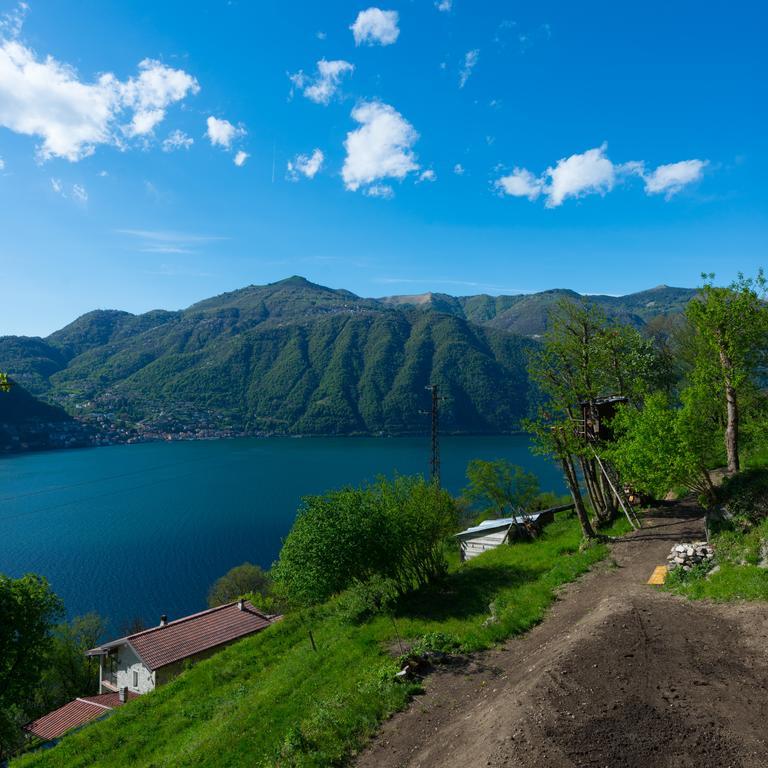 Tra Lago E Montagna Baita La Morena Nesso Ngoại thất bức ảnh